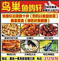 鳥巢魚鴿軒
