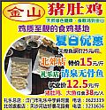 金山豬肚雞